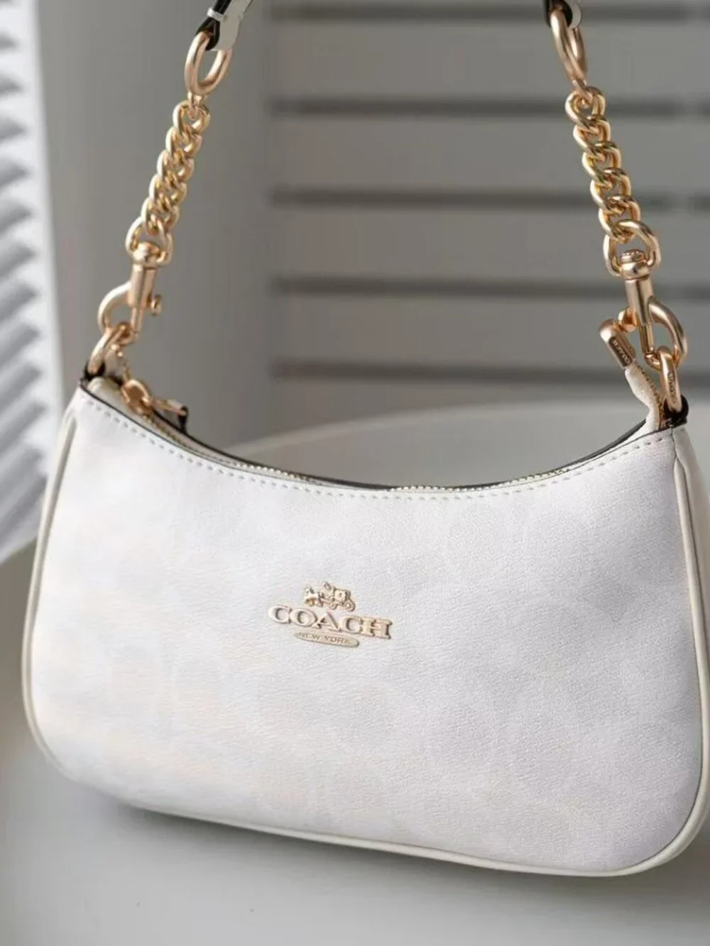 Coach Teri Shoulder Bag In Signature Canvas